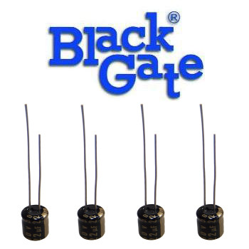 Black Gate PK Type Black Gate PK Type