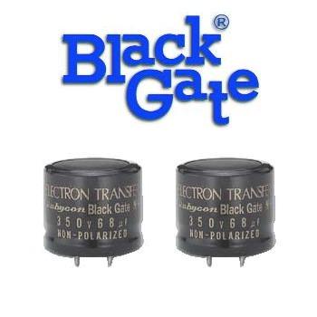 Black Gate NH Type Black Gate NH Type